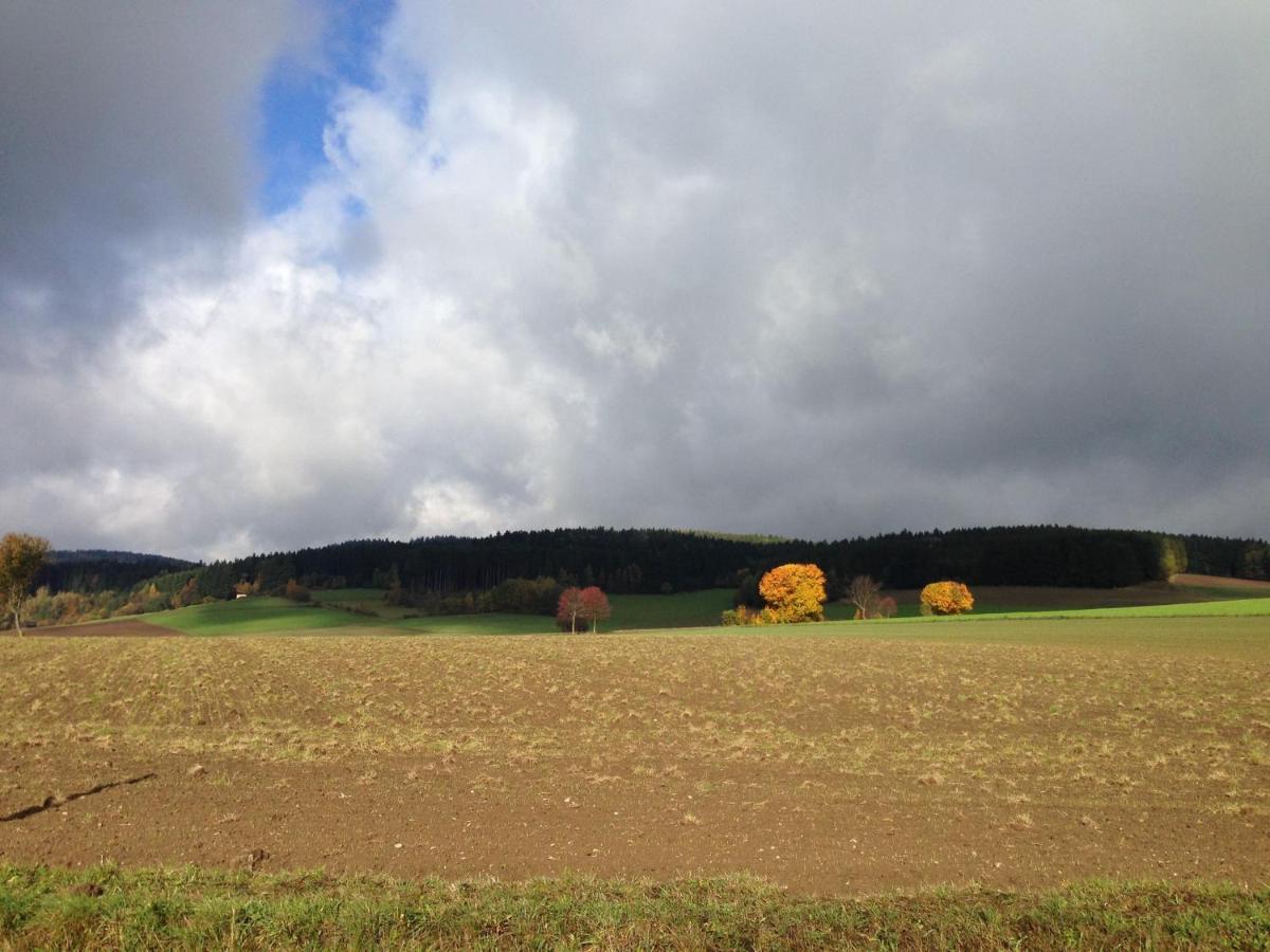 Cozy Pet Friendly Holiday Home In T Nnesberg Tännesberg Buitenkant foto